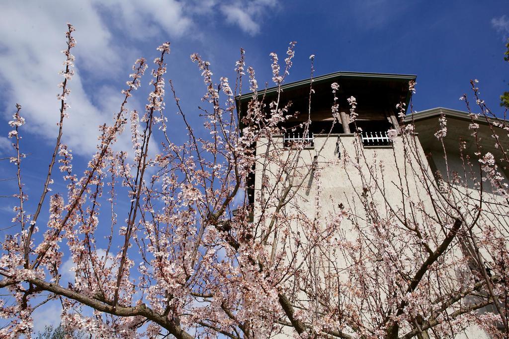 Torretta D'Assisi Panzió Tordandrea Kültér fotó